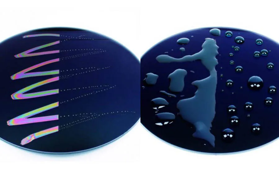 Zestaw 3 filtrów Marumi Magnetic Slim Basic Kit 67 mm